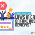 Laws Canada Fake Reviews