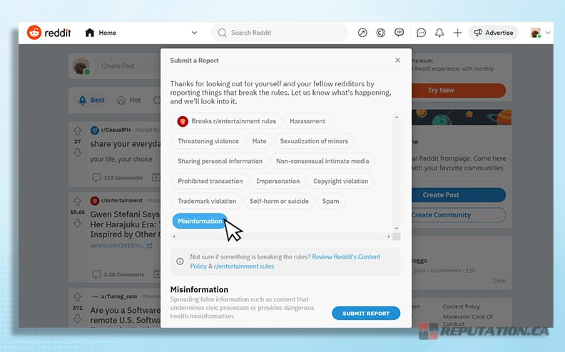 Reporting a Reddit Post