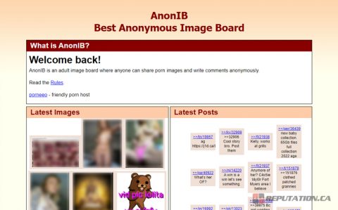 The Ultimate Guide to Removing Your Information From AnonIB.al