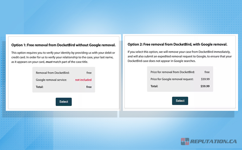 DocketBird Removal Options