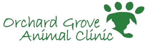 Orchard Grove Animal Clinic logo